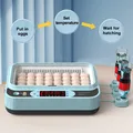 Incubateur automatique 6 œufs simple ou double alimentation – 5