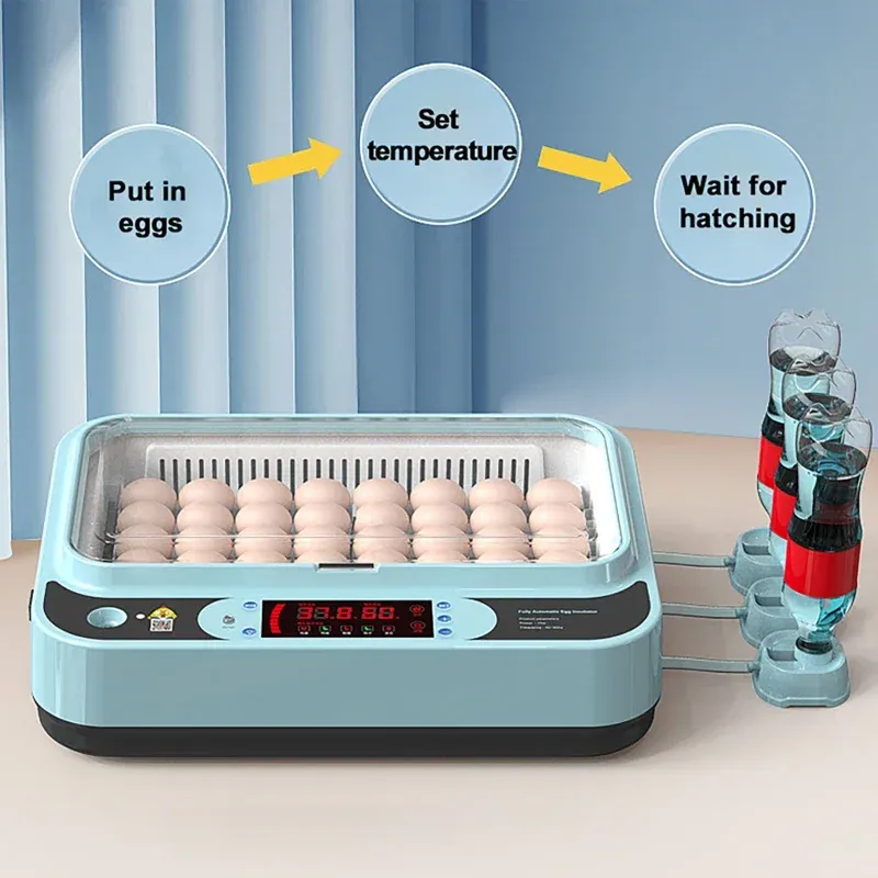 Incubateur automatique 6 œufs simple ou double alimentation