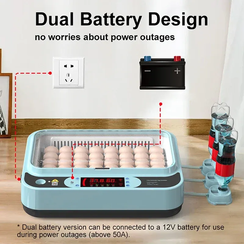 Incubateur automatique 6 œufs simple ou double alimentation