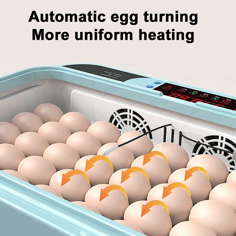 Incubateur automatique 6 œufs simple ou double alimentation