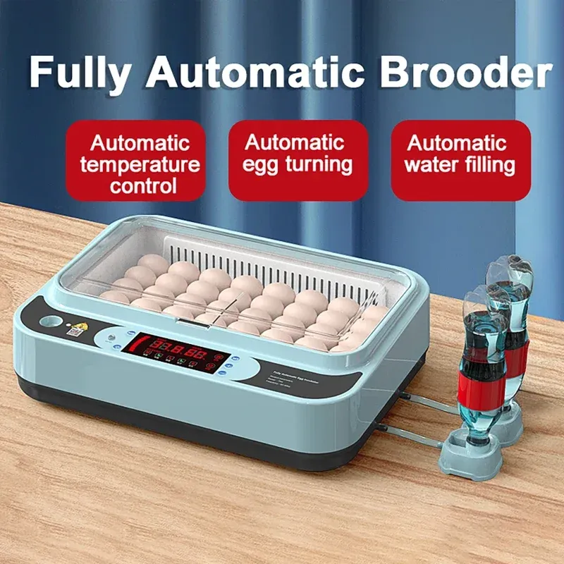 Incubateur automatique 6 œufs simple ou double alimentation