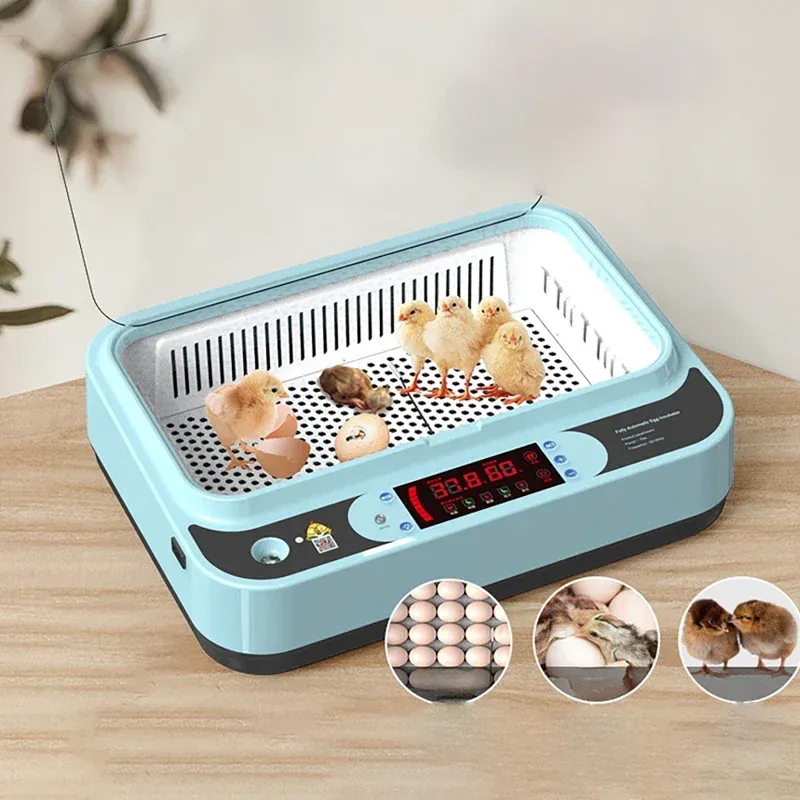 Incubateur automatique 6 œufs simple ou double alimentation