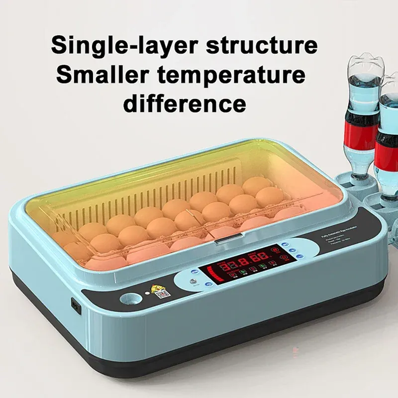 Incubateur automatique 6 œufs simple ou double alimentation