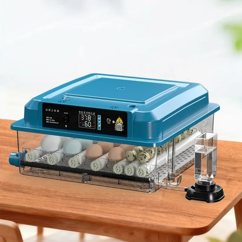 Incubateur automatique 9 à 24 œufs petit modèle