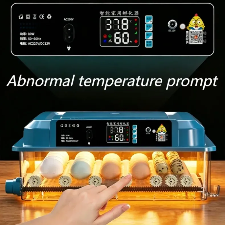 Incubateur automatique 9 à 24 œufs petit modèle