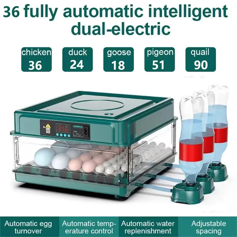 Incubateur automatique 9 à 36 œufs contrôle température