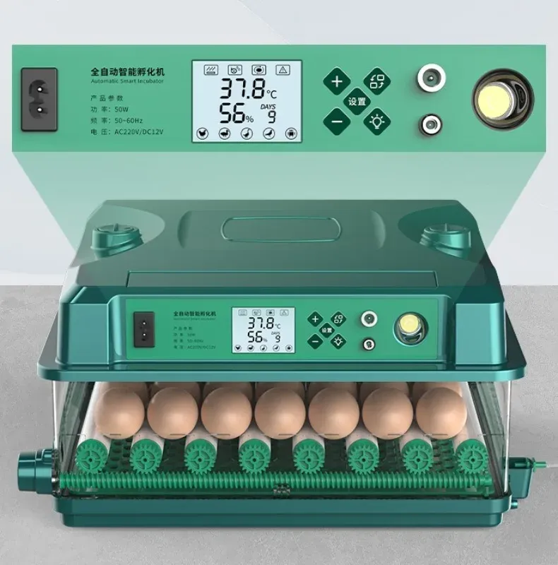 Incubateur automatique 9 à 36 œufs double alimentation