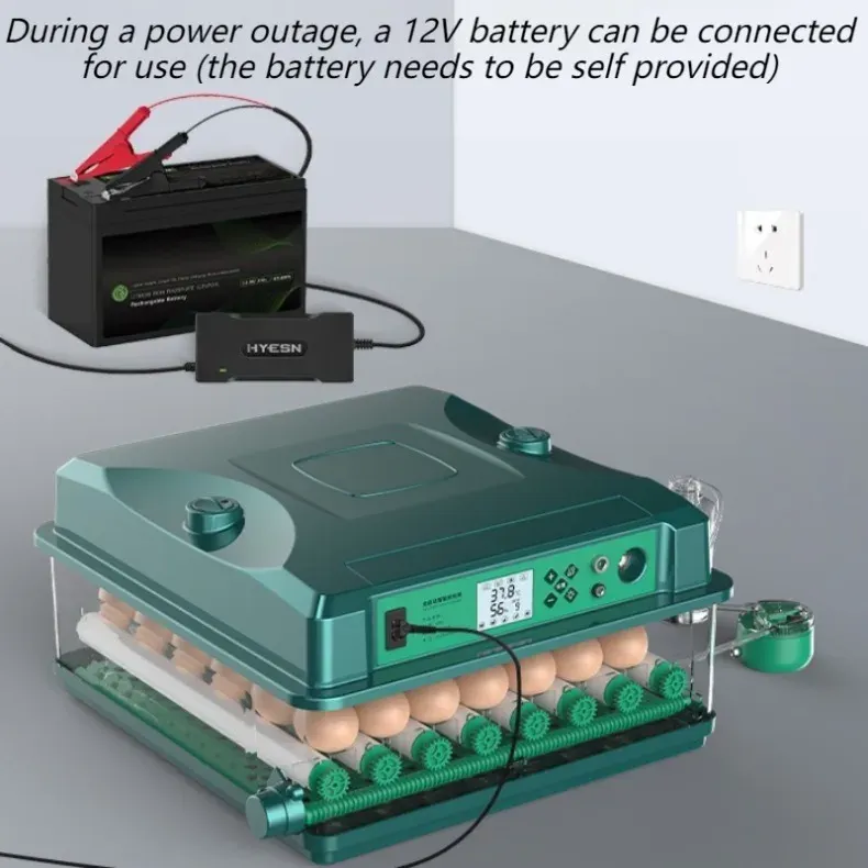 Incubateur automatique 9 à 36 œufs double alimentation