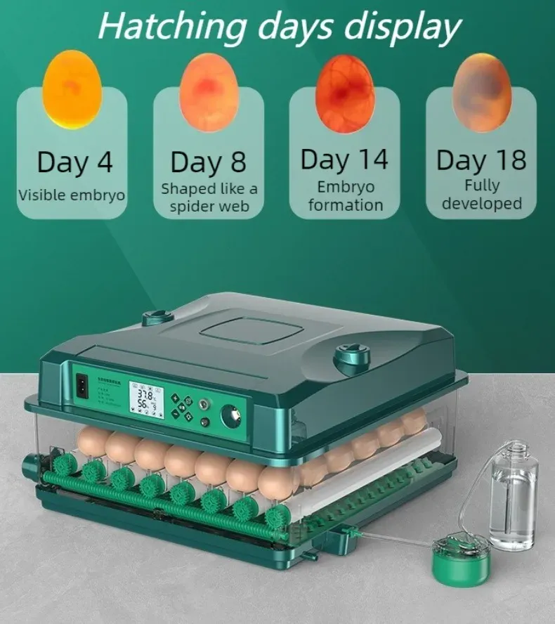 Incubateur automatique 9 à 36 œufs double alimentation