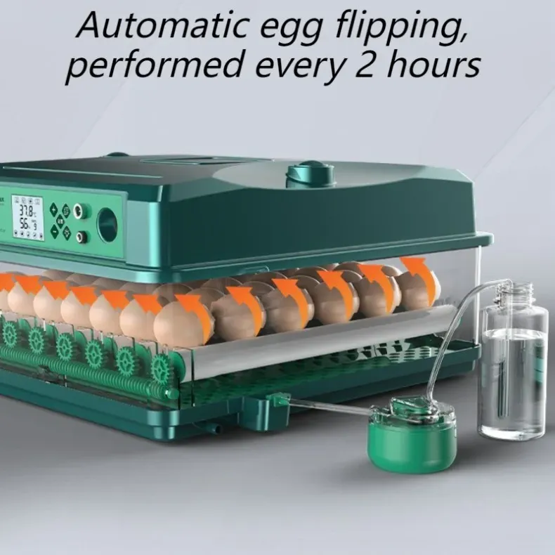 Incubateur automatique 9 à 36 œufs double alimentation