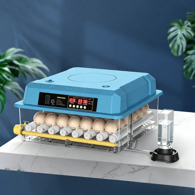 Incubateur automatique 9 à 36 œufs pour volailles