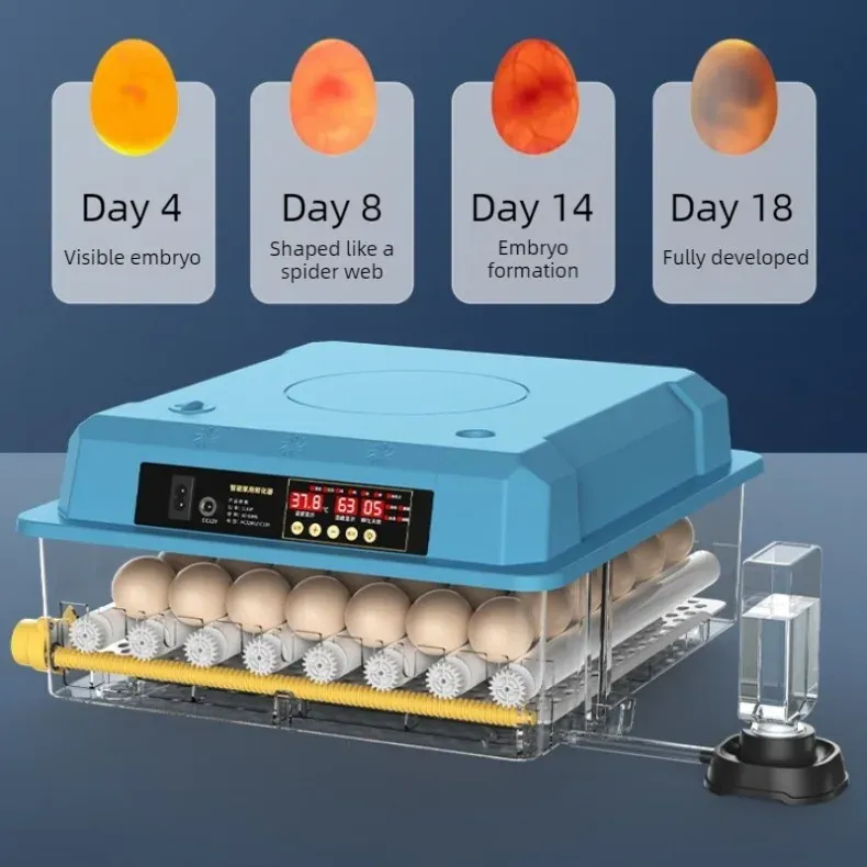 Incubateur automatique 9 à 36 œufs pour volailles