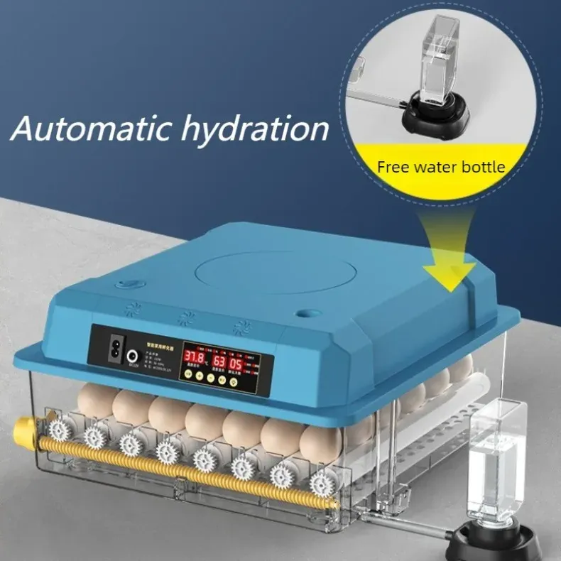 Incubateur automatique 9 à 36 œufs pour volailles