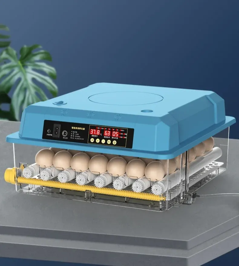 Incubateur automatique 9 à 36 œufs pour volailles
