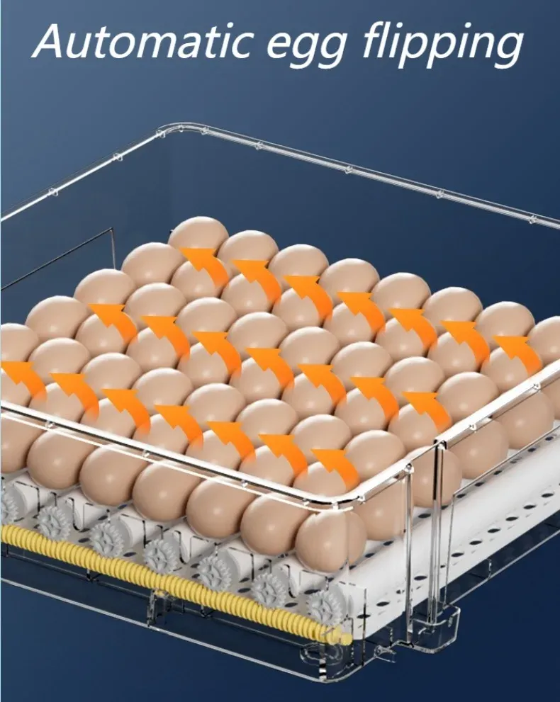 Incubateur automatique 9 à 36 œufs pour volailles
