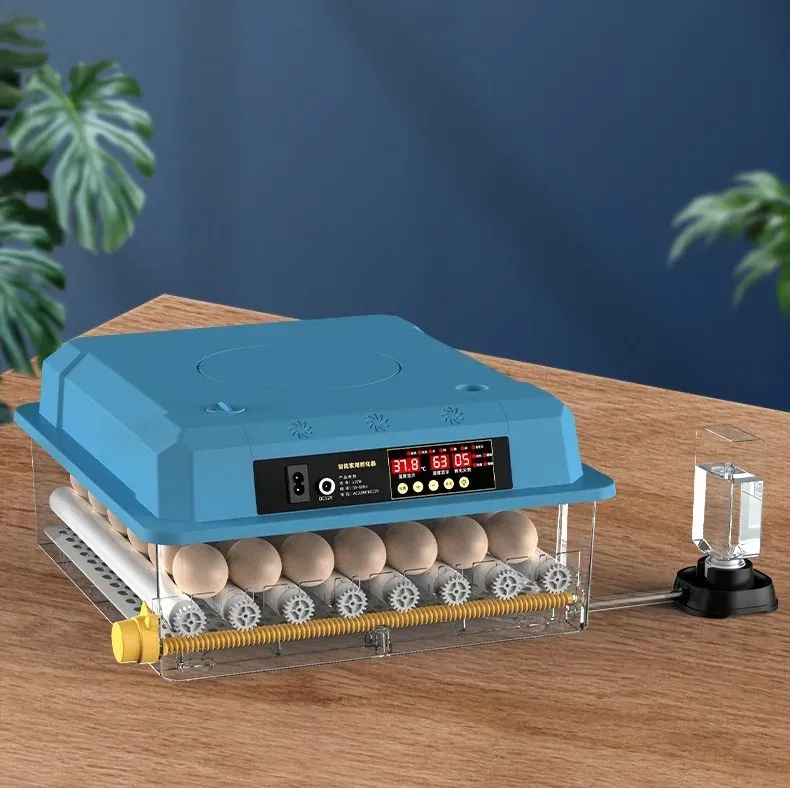 Incubateur automatique 9 à 36 œufs pour volailles
