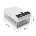 Incubateur automatique retournement contrôle température – Couleur 24 Eggs