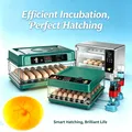 Incubateur automatique volailles cailles poulets retourneur – 1