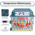 Incubateur d'œufs 16 à 120 unités automatique – 2