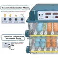 Incubateur d'œufs 16 à 120 unités automatique – 4