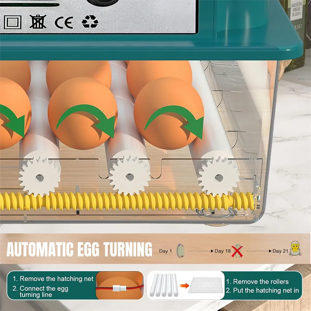 Incubateur d'œufs 16 à 120 unités automatique