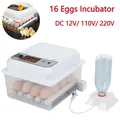 Incubateur d'œufs 16 unités double alimentation – 1