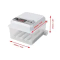 Incubateur d'œufs 16 unités double alimentation – 2