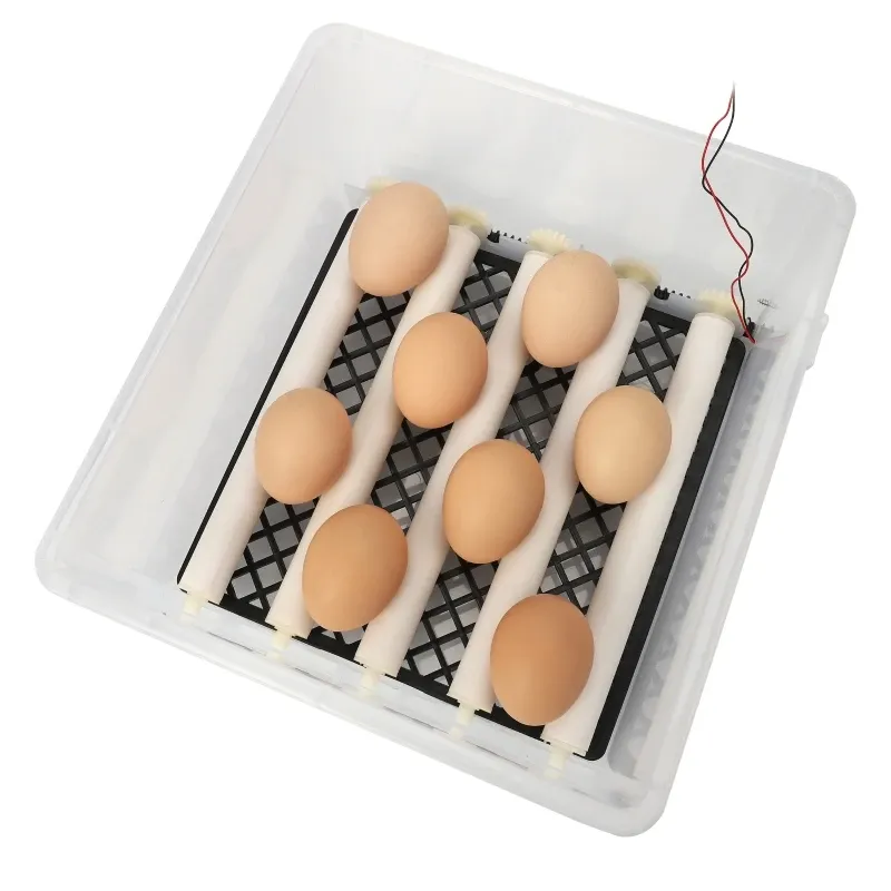 Incubateur d'œufs 16 unités double alimentation