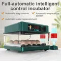 Incubateur d'œufs 24 à 36 unités automatique – 1