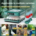 Incubateur d'œufs 24 à 36 unités automatique – 2