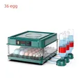 Incubateur d'œufs 24 à 36 unités automatique – Couleur 36 (36)