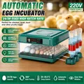 Incubateur d'œufs 24 à 36 unités automatique – 5