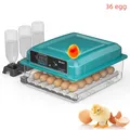 Incubateur d'œufs intelligent retournement automatique – Couleur 36 egg