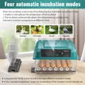 Incubateur d'œufs intelligent retournement automatique – 5