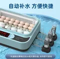 Incubateur d'œufs poule canard caille automatique intelligent – 3