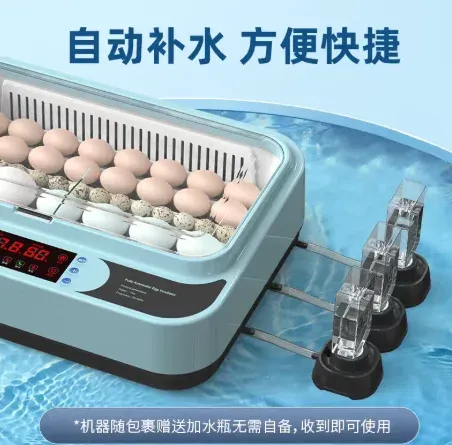 Incubateur d'œufs poule canard caille automatique intelligent