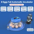 Incubateur intelligent 8 œufs contrôle automatique température – 1