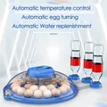 Incubateur intelligent 8 œufs contrôle automatique température – 2