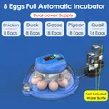 Incubateur intelligent 8 œufs contrôle automatique température – Couleur 8 Eggs 220V EU Plug
