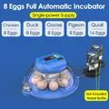 Incubateur intelligent 8 œufs contrôle automatique température – Couleur Single 220V EU