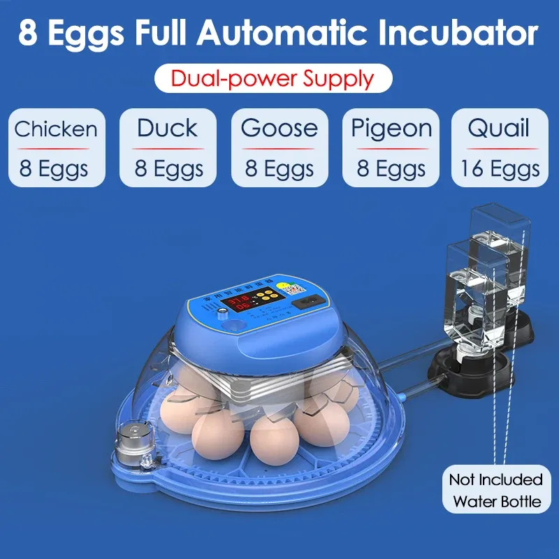 Incubateur intelligent 8 œufs contrôle automatique température