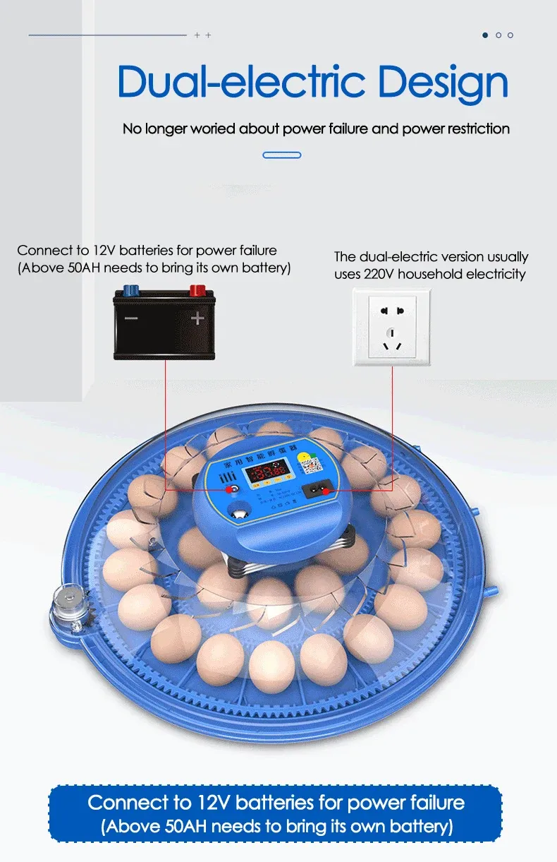 Incubateur intelligent 8 œufs contrôle automatique température