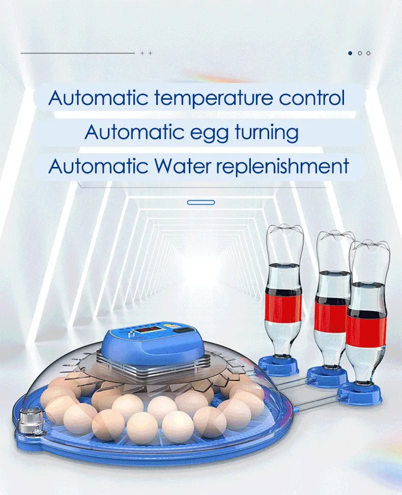 Incubateur intelligent 8 œufs contrôle automatique température