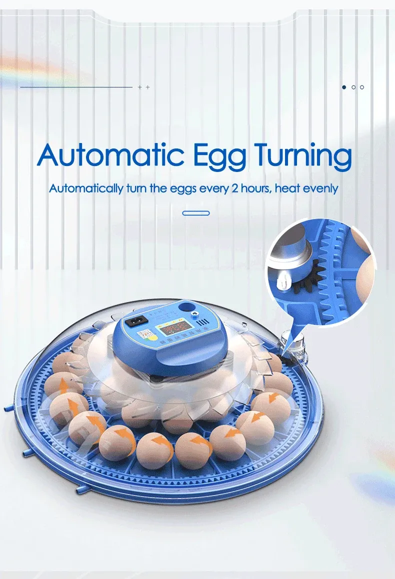 Incubateur intelligent 8 œufs contrôle automatique température