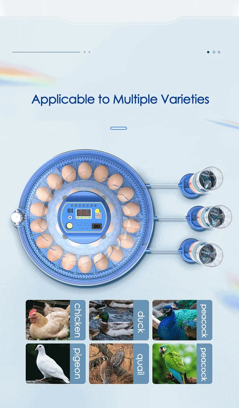 Incubateur intelligent 8 œufs contrôle automatique température