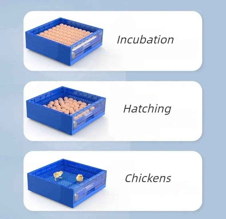 Incubateur intelligent automatique tiroir contrôle température