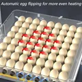 Incubateur intelligent contrôle température 24 à 128 œufs – 6