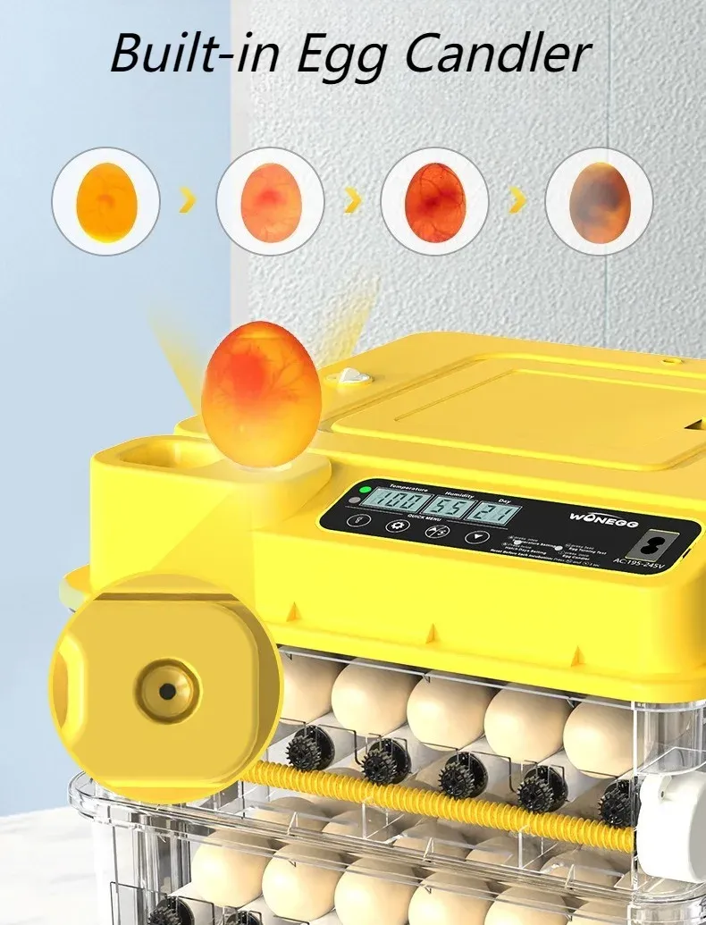 Incubateur intelligent contrôle température 24 à 128 œufs