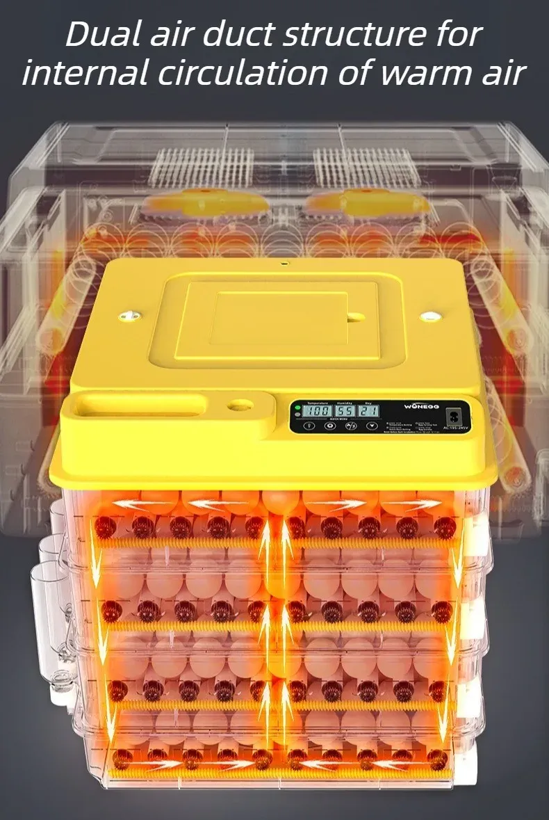 Incubateur intelligent contrôle température 24 à 128 œufs