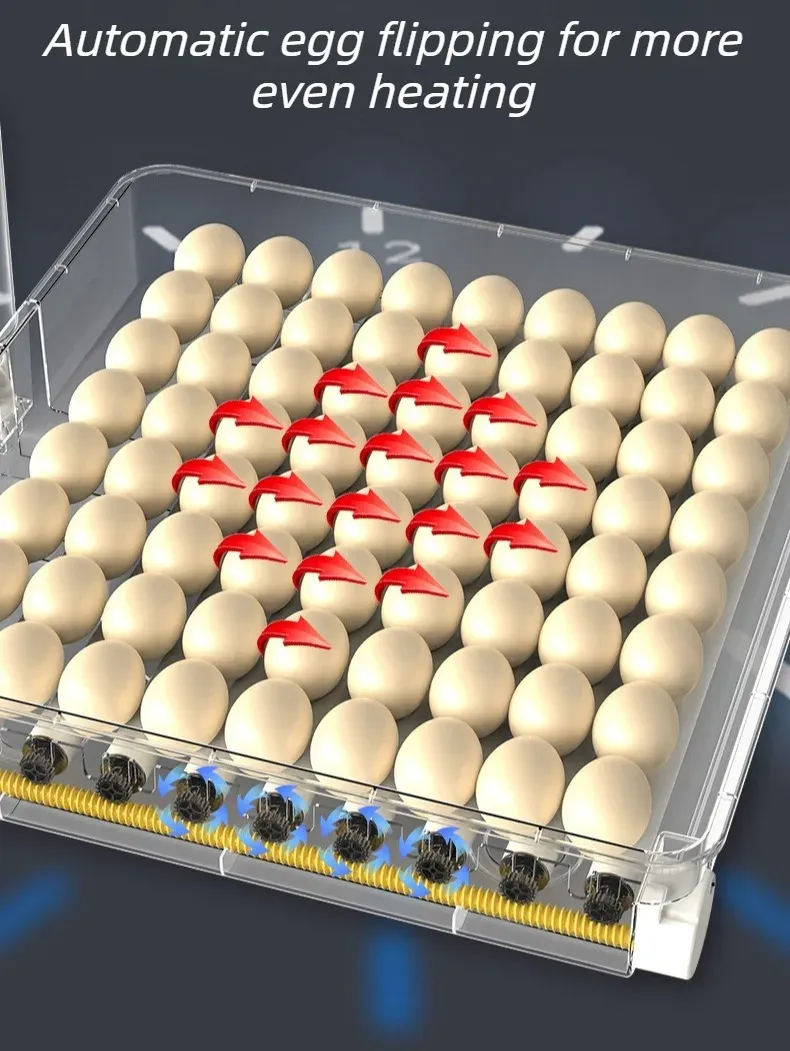Incubateur intelligent contrôle température 24 à 128 œufs